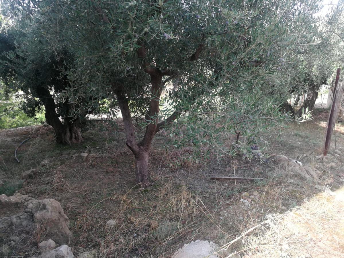 17-09-2019_IMG-20190917-WA0005 - copia.jpg